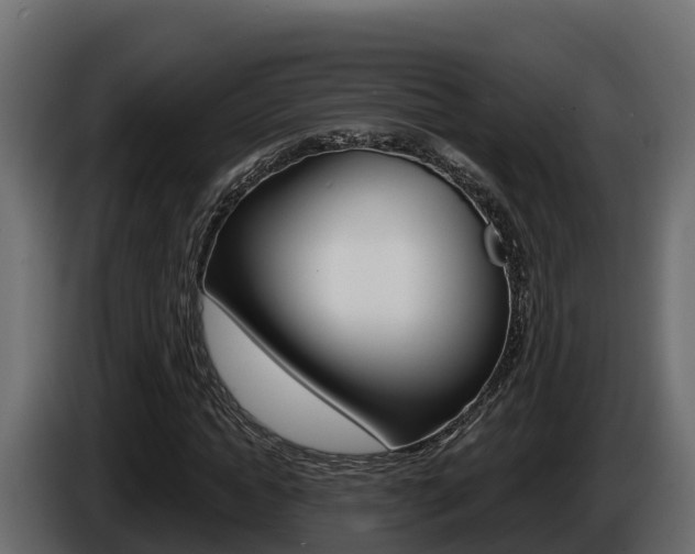 X0000086020822200703230930