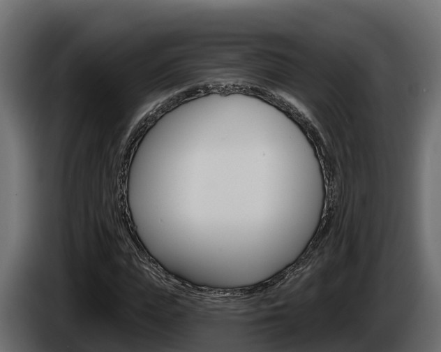 X0000086020823200703230931