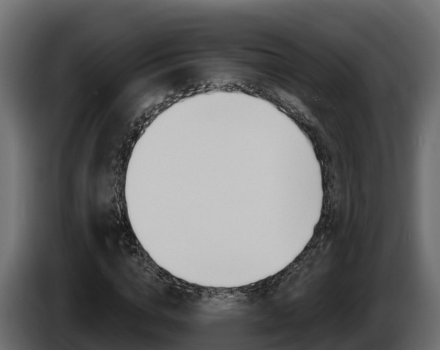 X0000086020824200703230931