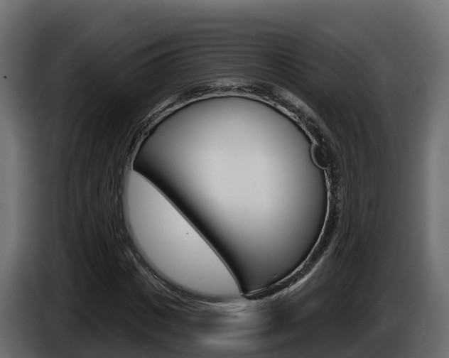 X0000086020825200703230931