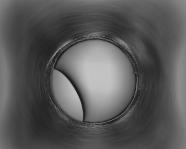 X0000086020827200703230931