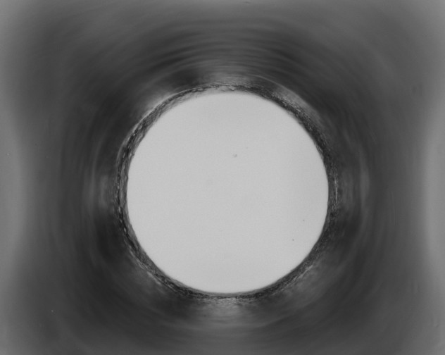 X0000086020828200703230931