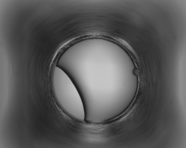 X0000086020831200703230931