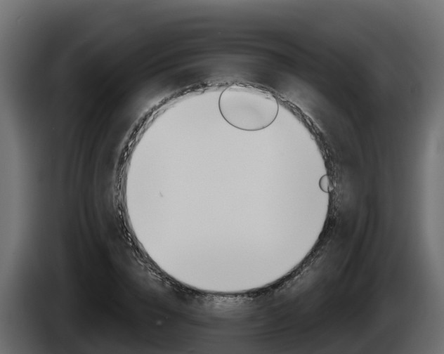 X0000086020832200703230931