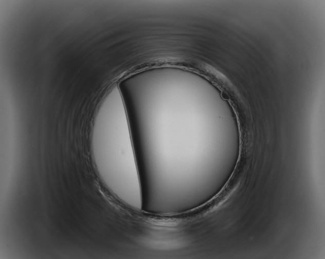 X0000086020833200703230931