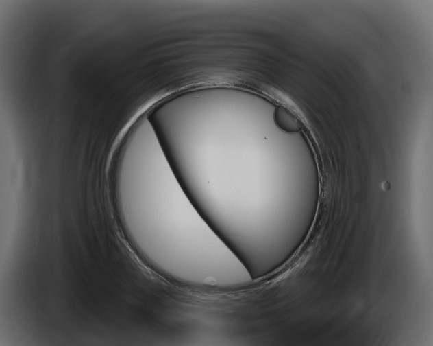 X0000086020835200703230931