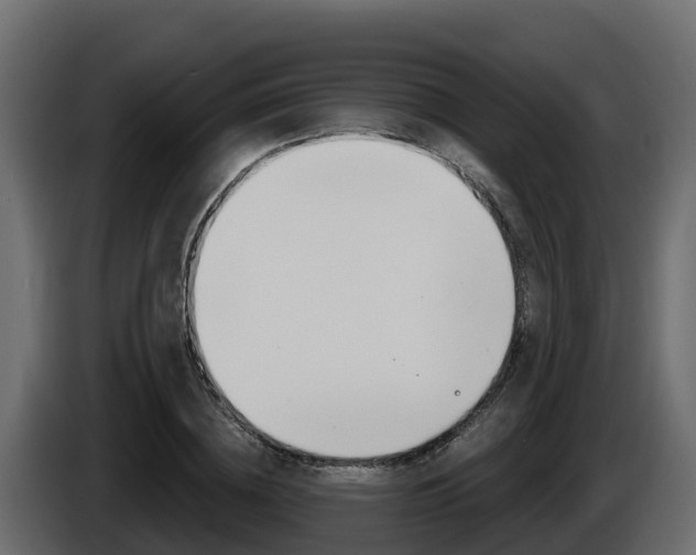 X0000086020836200703230931