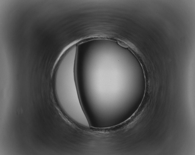 X0000086020838200703230931