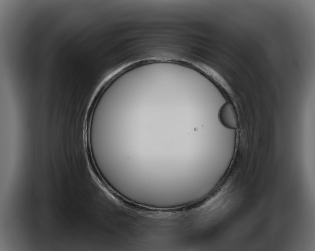 X0000086020839200703230931