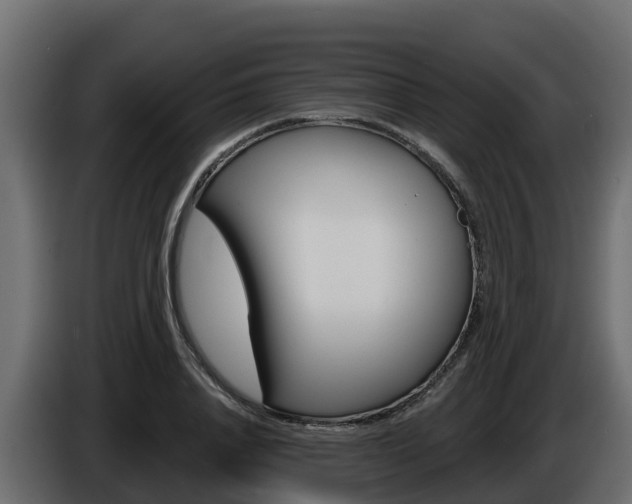 X0000086020840200703230931