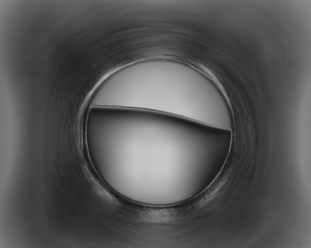 X0000086020843200703230931