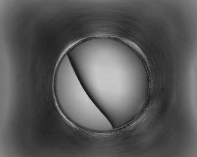 X0000086020847200703230931