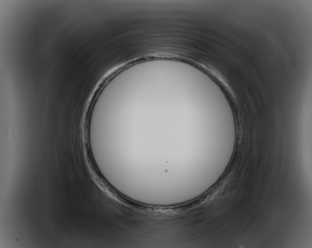 X0000086020848200703230931