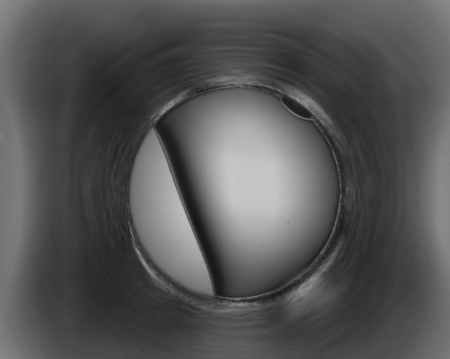 X0000086020849200703230931