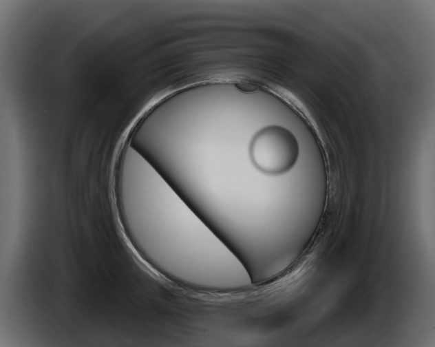 X0000086020851200703230931