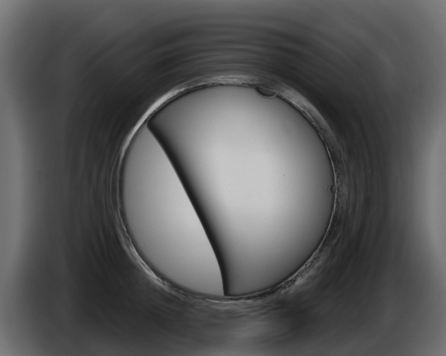 X0000086020852200703230931