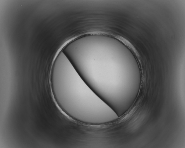 X0000086020855200703230931