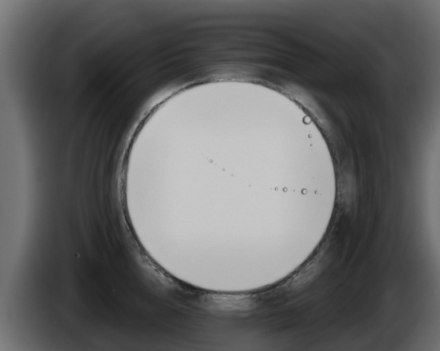 X0000086020856200703230931