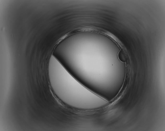 X0000086020857200703230931