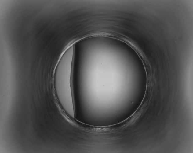 X0000086020858200703230931