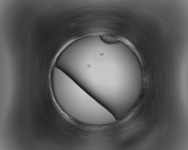X0000086020859200703230931