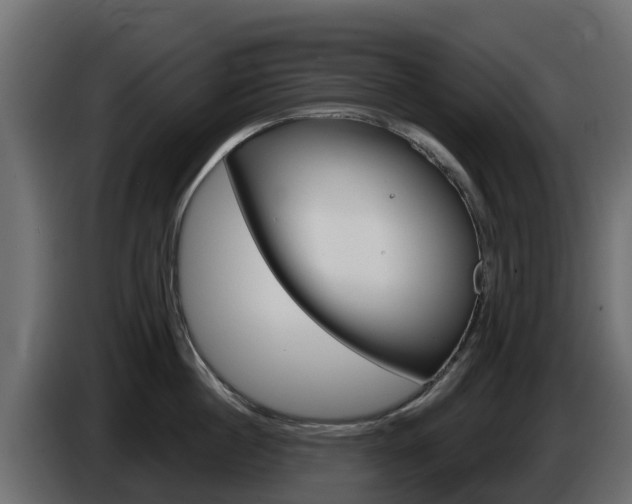 X0000086020860200703230931