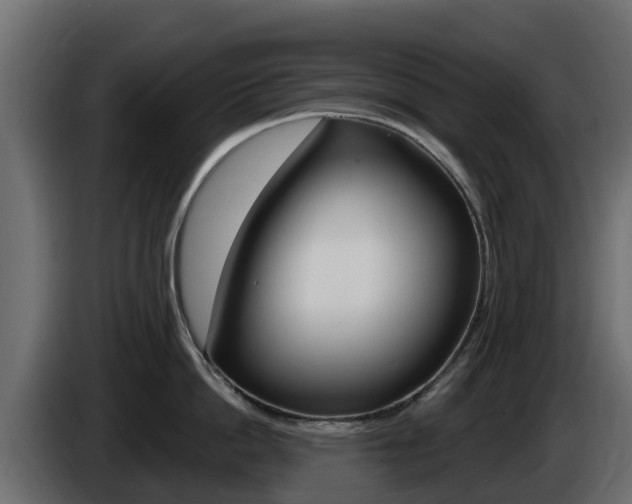 X0000086020862200703230931