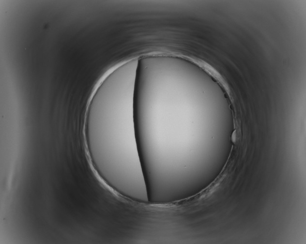 X0000086020863200703230931