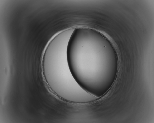 X0000086020864200703230931