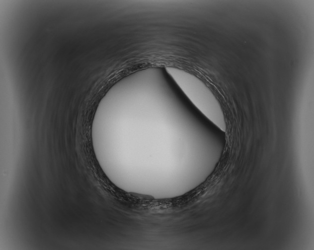 X0000086020865200703230930