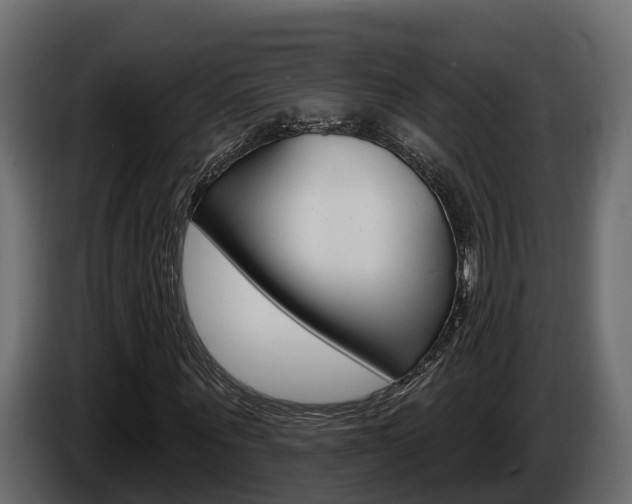 X0000086020867200703230930