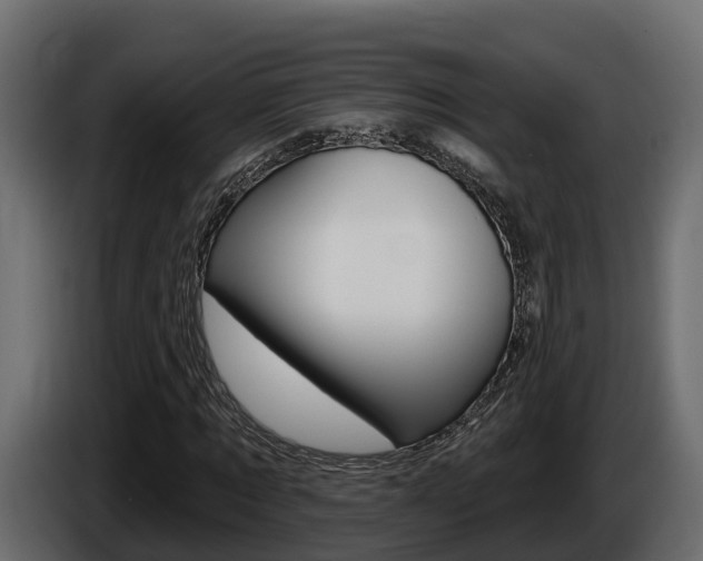 X0000086020869200703230930