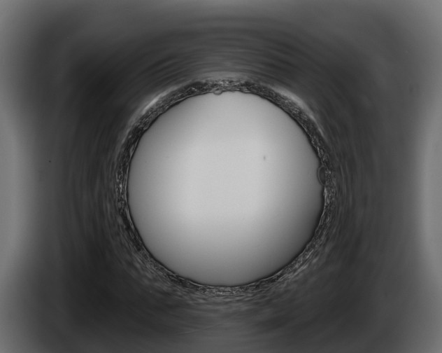 X0000086020871200703230930