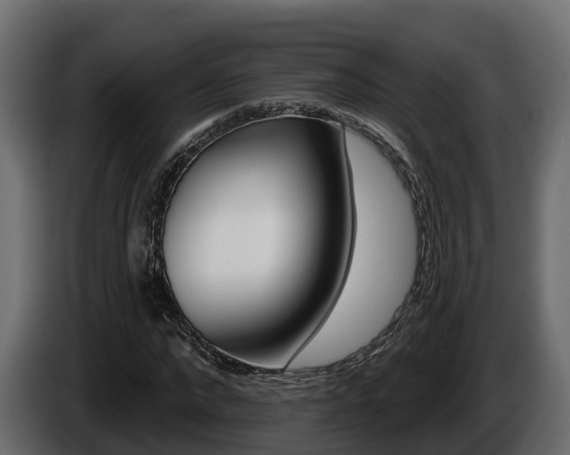 X0000086020872200703230930