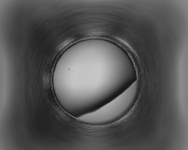 X0000086020873200703230930