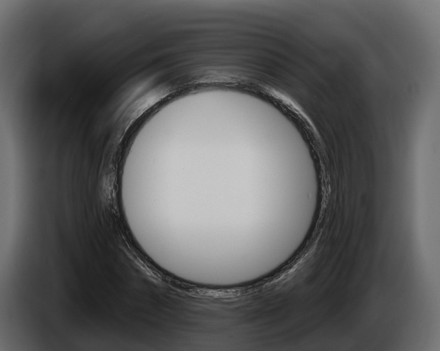X0000086020874200703230930