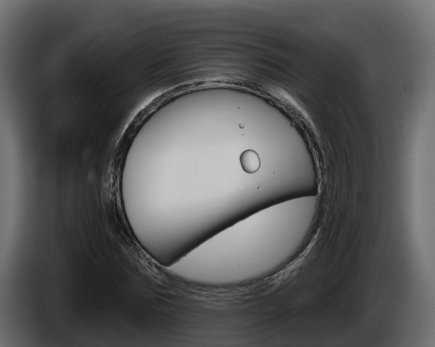 X0000086020875200703230930