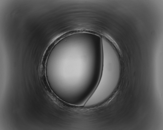 X0000086020876200703230930