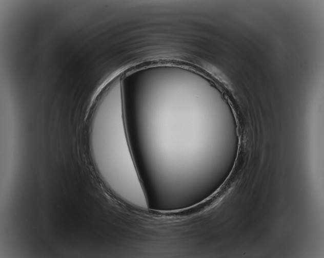 X0000086020877200703230930