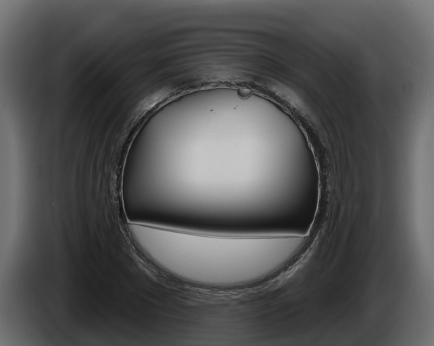X0000086020881200703230930