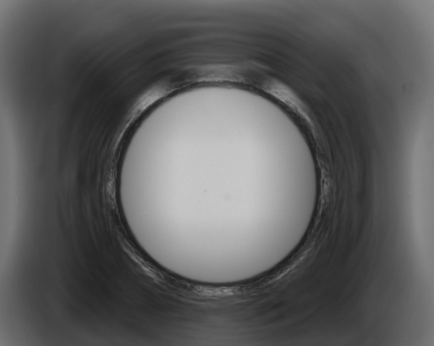 X0000086020882200703230930
