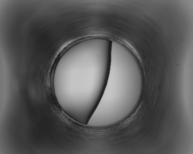 X0000086020883200703230930