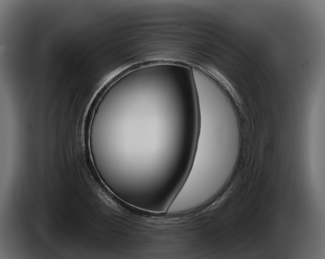 X0000086020884200703230930