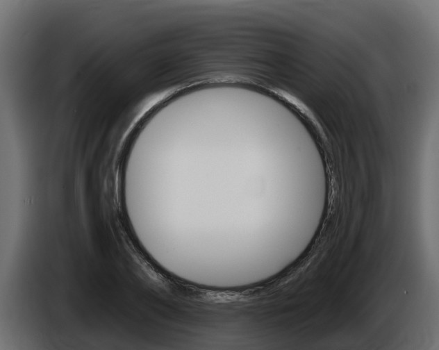 X0000086020886200703230930