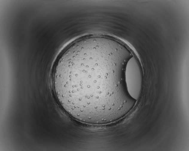 X0000086020887200703230930