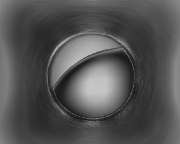 X0000086020888200703230930