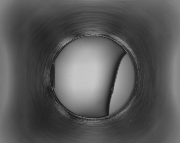 X0000086020889200703230930