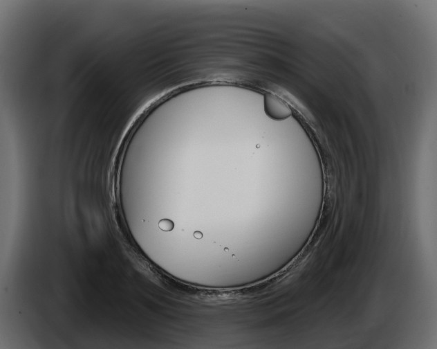 X0000086020891200703230930
