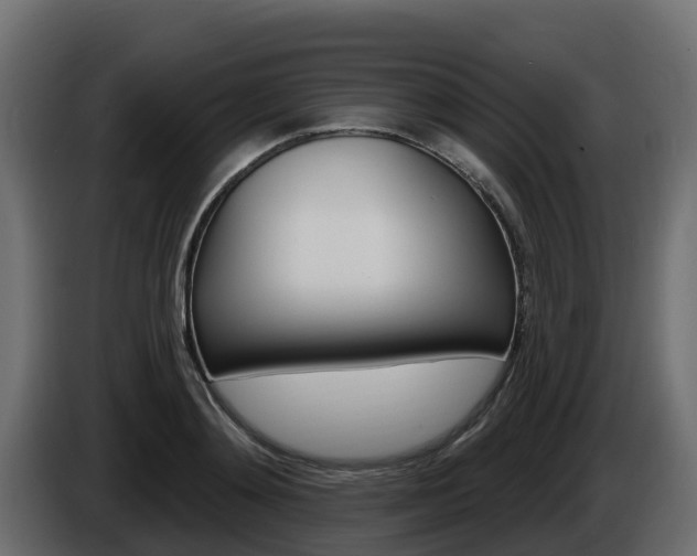 X0000086020892200703230930