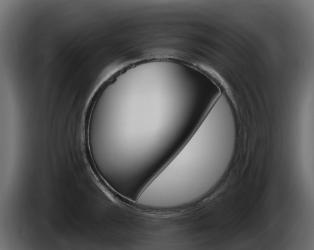 X0000086020894200703230930